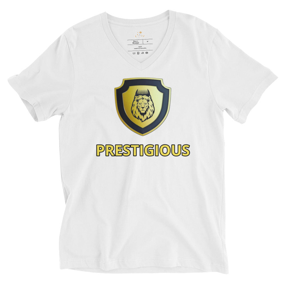 Unisex Short Sleeve V-Neck T-Shirt